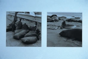 Two monochrome images of rounded forms on a shore